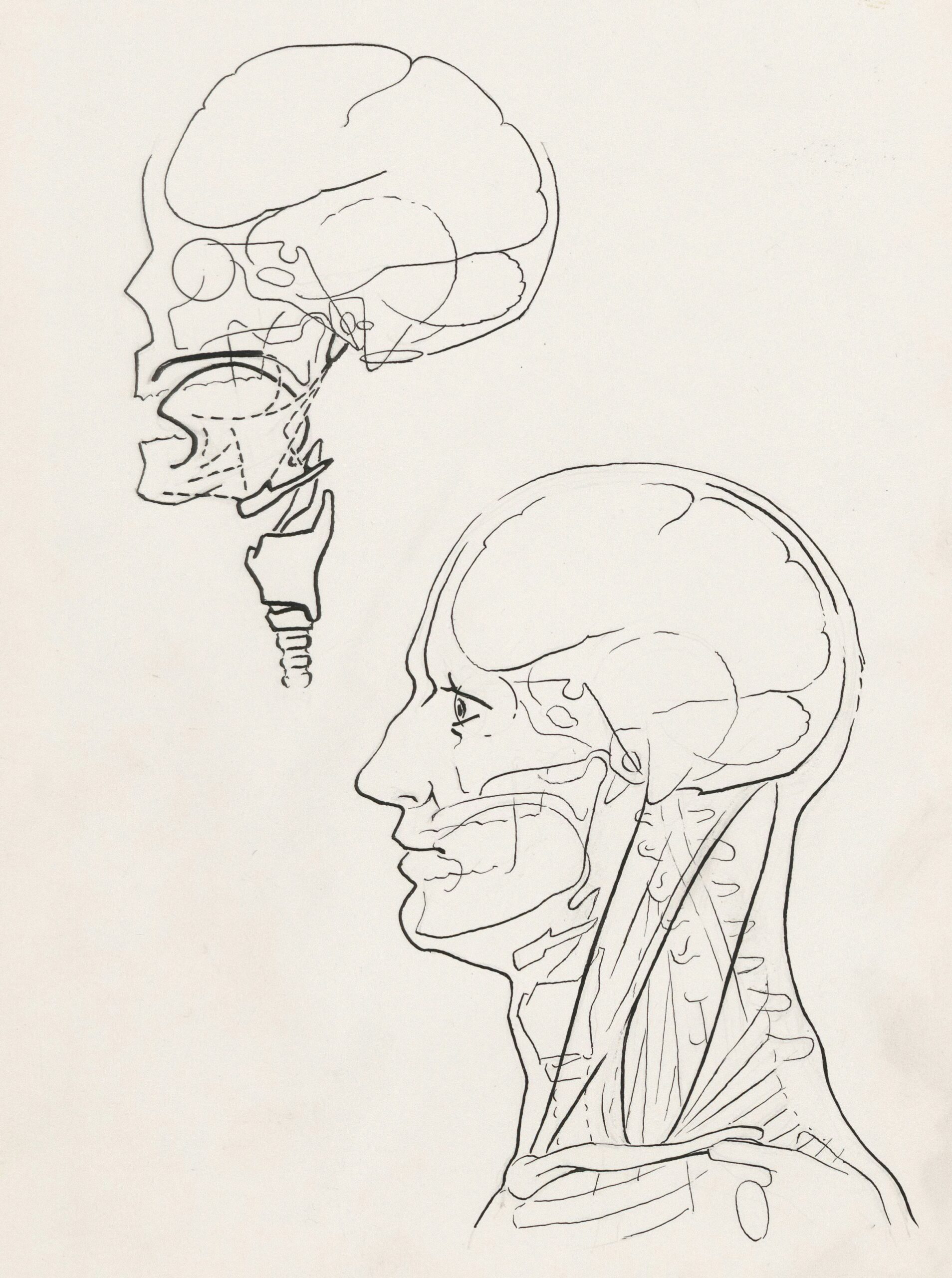 europeana 1teaf9cuq8 unsplash